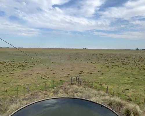 500ha Agrícola-ganaderas Sobre Ruta Nacional 35