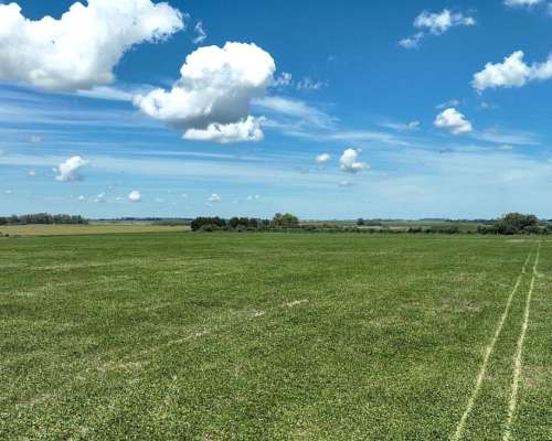 178 Has. Campo Agrícola en San Pedro