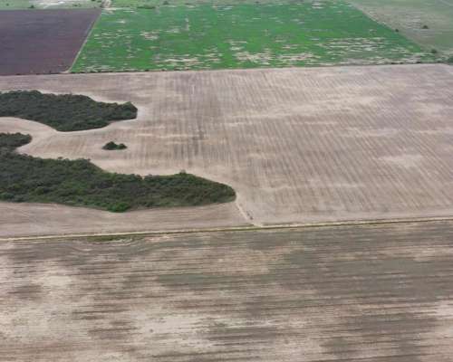 Chaco Hermoso Campo al SUR Este 400 Has