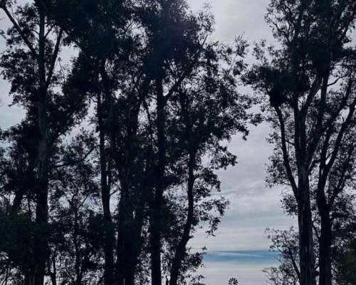 Campo en Venta Sobre Ruta 29. Ranchos