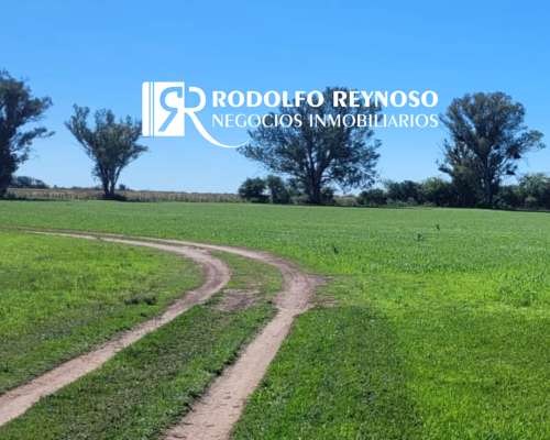 700 HA. en Gualeguaychú, Entre Ríos