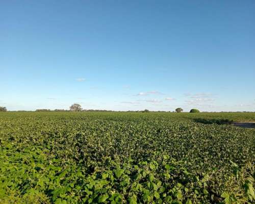 87 Ha en Venta en Capilla de Siton