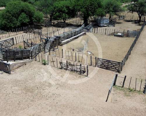 Campo Ganadero- 3.000 Ha en Chuña, Córdoba