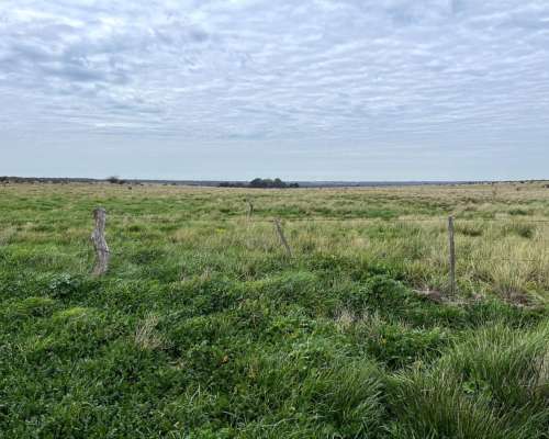 830 Hectáreas San German, Pdo. de Puan