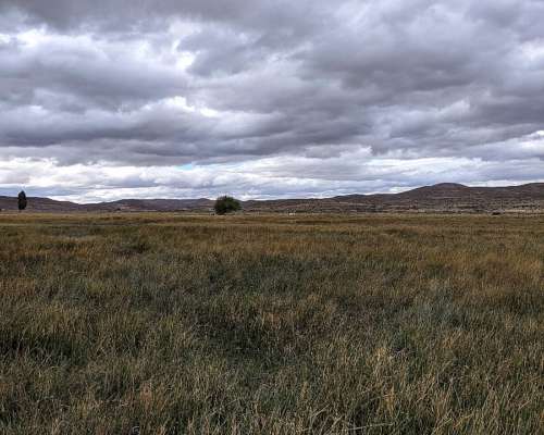 👉 “venta de Campo 2500 Has – Ñorquinco, Río Negro – con CAS