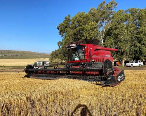 Cosechadora Case IH 7150, año 2023, 1.000 Hs Rotor, 1.800 Hs