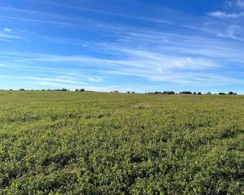 Venta de Campo en Uruguay. Estancia en Florida