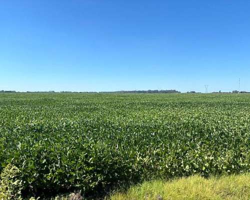 120 Has 100 % Agrícolas sin Desperdicios