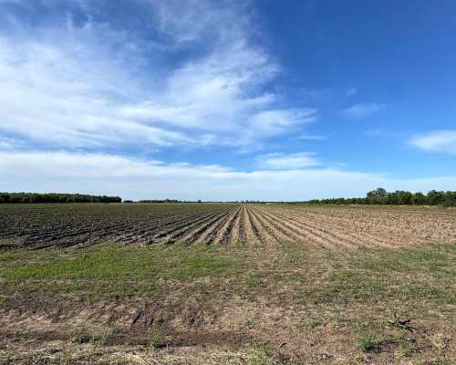 Campo Agrícola 62 Hectáreas