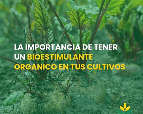 Tecnogreen Fertilizante Foliar Orgánico X 20 Lts