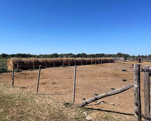 Chacra de 5 Has con Excelentes Mejoras