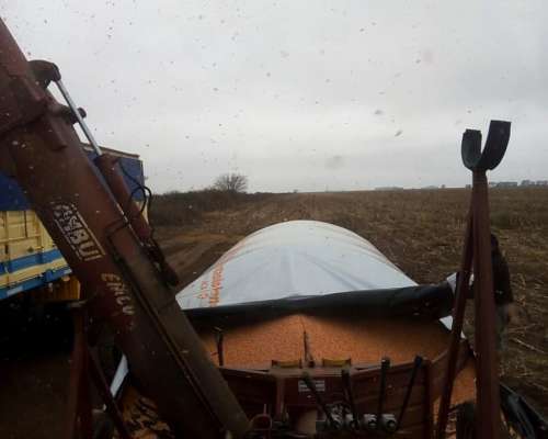 Extractora de Granos Ombu Emco 2002