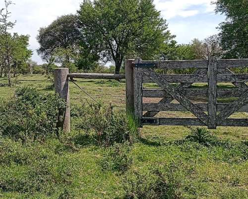 Vendo Campo Ganadero en E.rios