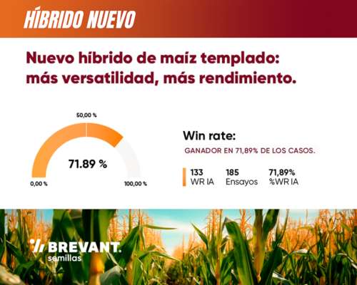 Semillas Brevant - BRV 8181 PWU