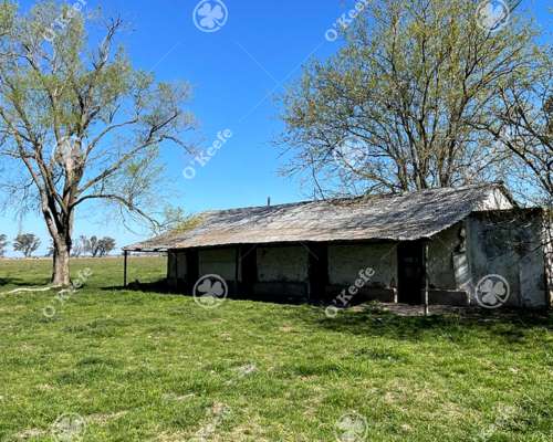 Campo en Venta de 1150 Has en Formosa. Cerca de Ruta Nac. 11