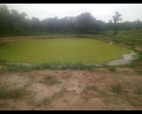 Chaco, Campo Ganadero Armado