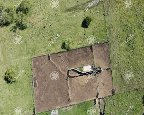 Campo en Venta de 1420 Has en Azul. Ganadero