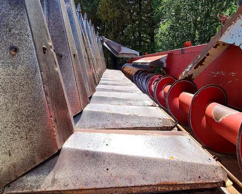 Cabezal Maicero Maizco Premium Usado