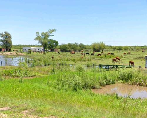 62 Hectáreas Mixtas . Sobre Ruta N463