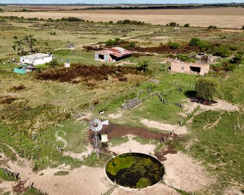 Campo Mixto. 154 HA. SA Pereira, Santa FE.