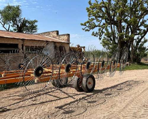 Rastrillo 12 Estrellas Agroindustria