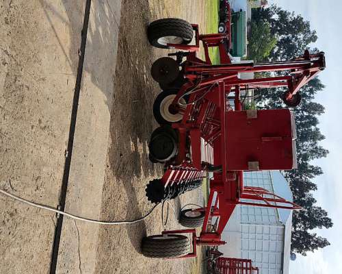 14 a 52, Fertilización Simple, Gringa IV