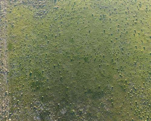 660 Has de Cría en Departamento Iriondo.