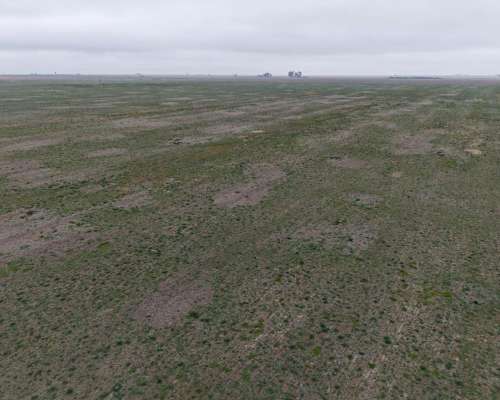 Venta 100 Has Agricolas en Dpto San Martin.