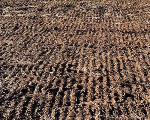 Vendo 400 Has 100 % Agrícolas al SUR de Fraga, San Luis