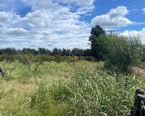 Campo de 12,5 Has 100 % Agrícolas de Excelente Calidad