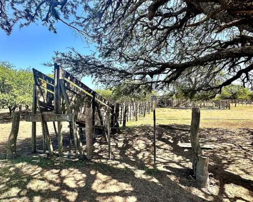 3.500 Has Ganaderas Toay