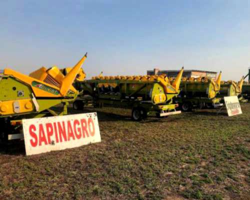 Maicero Allochis de 16 a 52 Nuevo