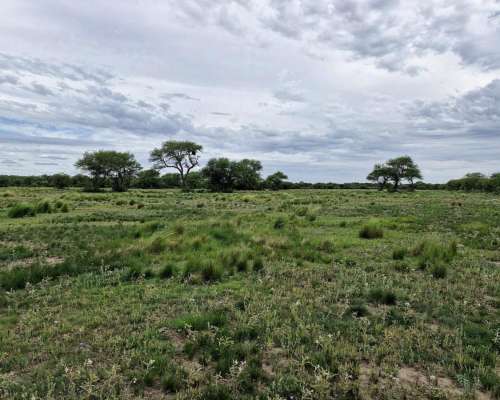 Villa Valeria, General Roca, Córdoba - 843 Ha