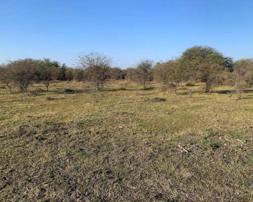 Campo a la Venta Ambrosetti - Dpto San Cristóbal - Santa FE