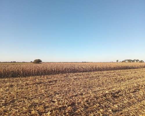 450 Ha en Venta Norte de Córdoba