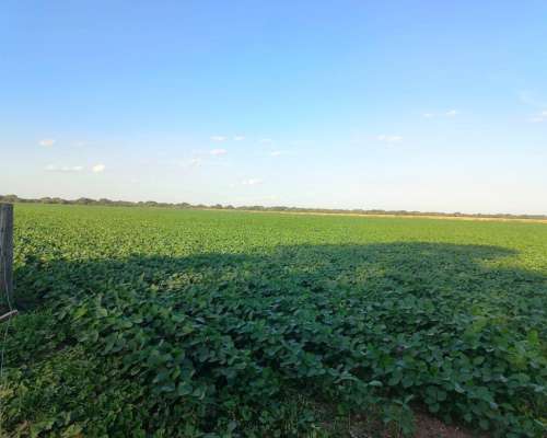 400 Has Zona Núcleo