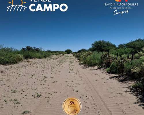 Vende: Campo de 12.342 Hectáreas, Limay Mahuida, la Pampa