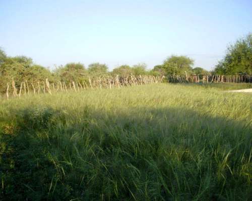 Venta de Campo en Valle Fértil, San Juan 7500 Hectáreas