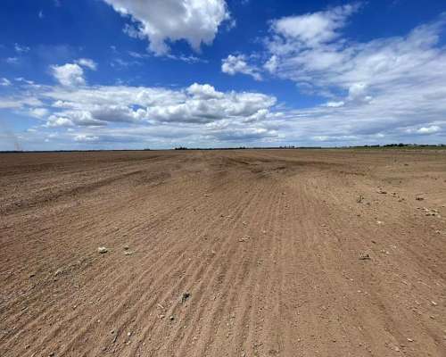 Totoras, Iriondo, Santa FE - 160 Ha