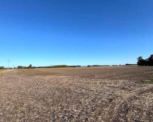 Campo Agrícola Sobre Autopista 9
