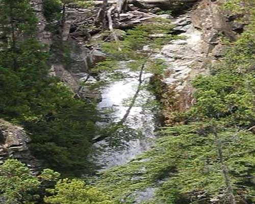 Venta Campo en el Hoyo Zona Arrollo Pedregoso 892 Hectareas