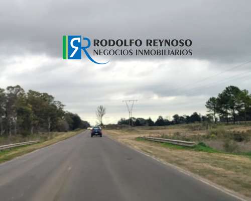 Campo de 30 Ha Sobre Ruta Prov. 39 - Entre Ríos