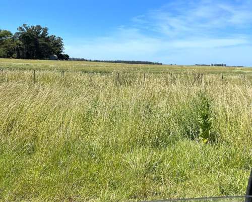 410 Has en Miramar - la Ballenera