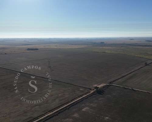 Venta Campo Agrícola. Díaz, Santa FE. 160 HA.