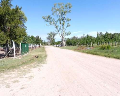 Baradero, Buenos Aires - 15 Ha