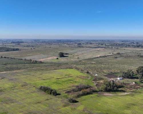 Pcia. de Buenos Aires - Marcos PAZ 185 Has