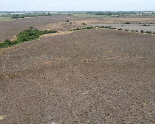 115 Hectáreas Agrícolas Sobre Ruta, Caseros Entre Ríos.