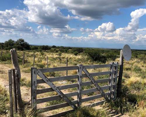 Campo Mixto de 417 Ha a 70 km de Merlo. Permuta.