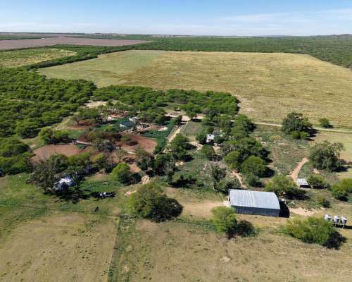 Juan Martin de Pueyrredón, San Luis - 2.350 Ha