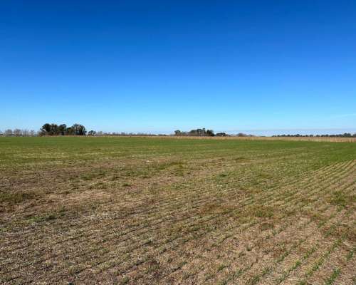 Campana, Buenos Aires - 101 Ha